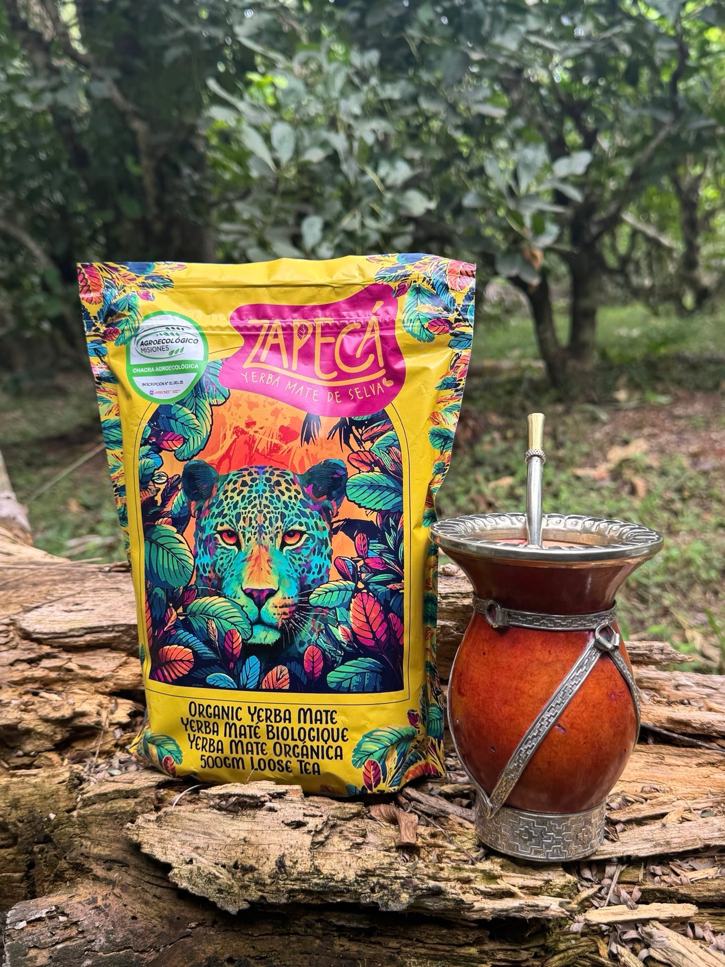 Zapeca Yerba Mate - Loose Leaf 500g Value Sized Bag